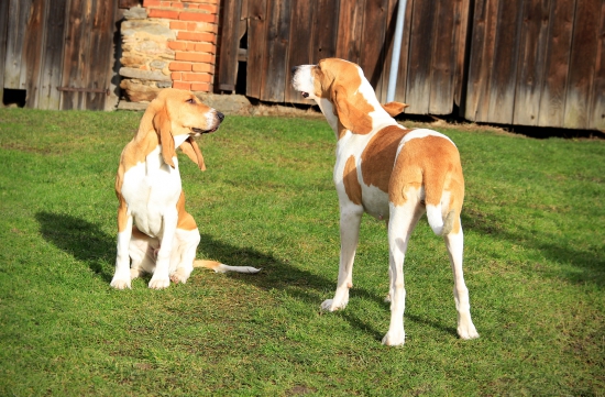 nabrat trochu sluníčka