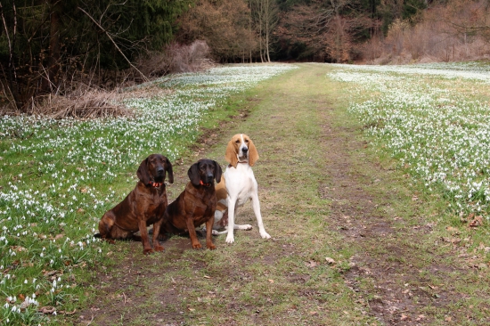 přivítali jsme jaro
