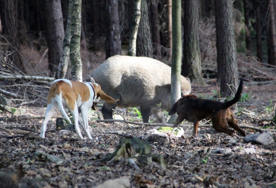 příprava na sezónu :-)