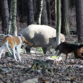 příprava na sezónu :-)