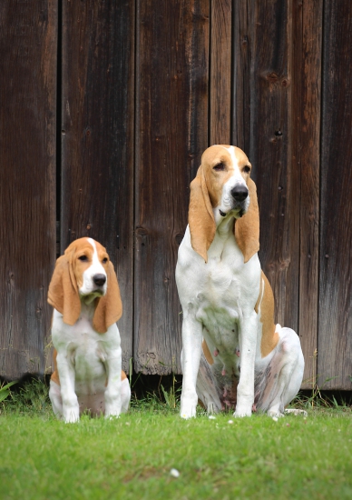 jako přes kopírák