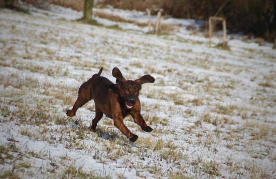 trochu sněhu a tolik radosti