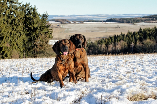 silvestrovská vycházka