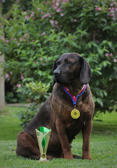 Ora z Mědníku 10let