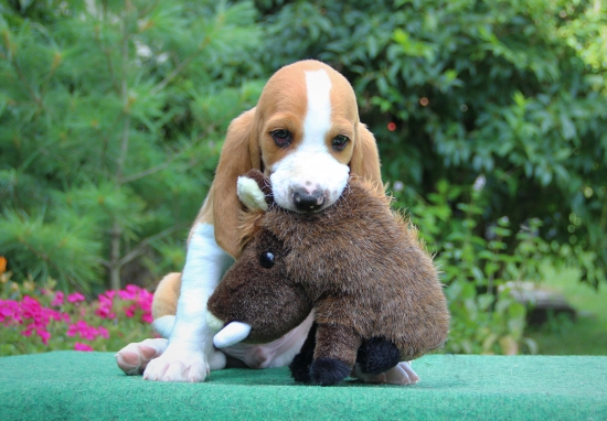 tak jsem ho ulovil :)