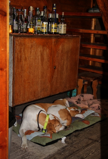 Romantika na horách