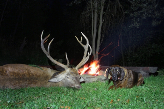na říji v Beskydech