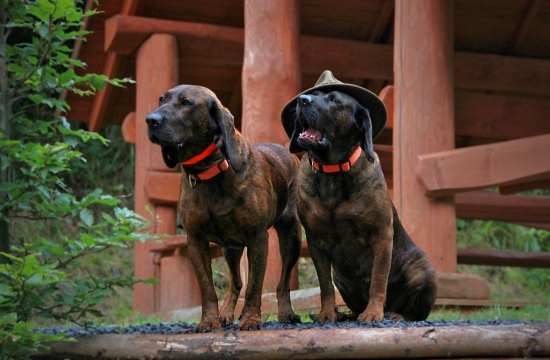 po akci na lovecké chatě :)