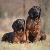 velikonoční procházka