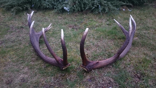 Včerejší vycházka se vydařila