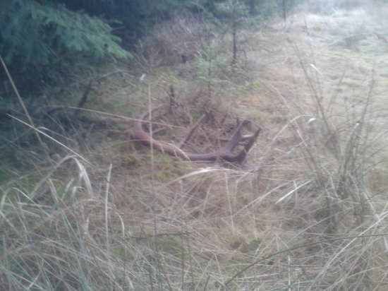 mladý čtrnácterák