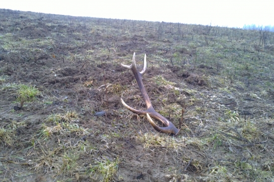 Ghost-duch... vynoril sa mi z hmly:)