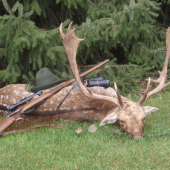 Svokrov životný k jubileu 1