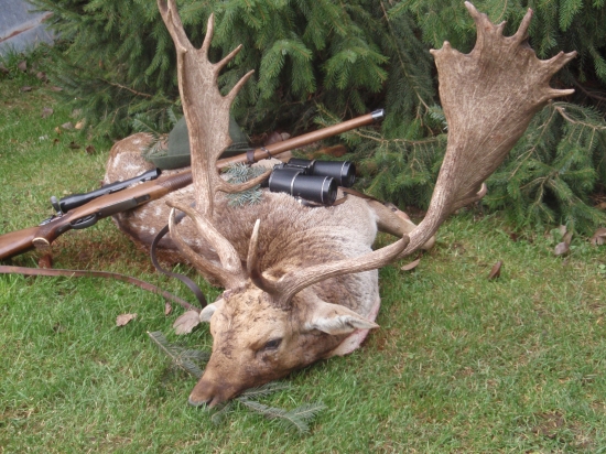 Svokrov životný k jubileu 2