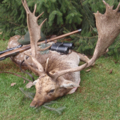 Svokrov životný k jubileu 2