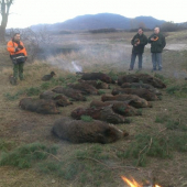 naša spoločná polovačka