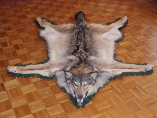 Vĺčko 1