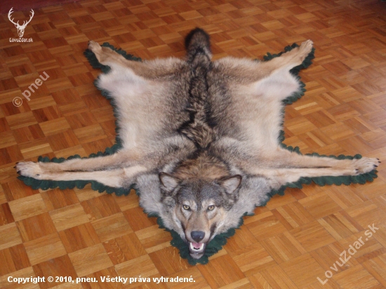 Vĺčko 1