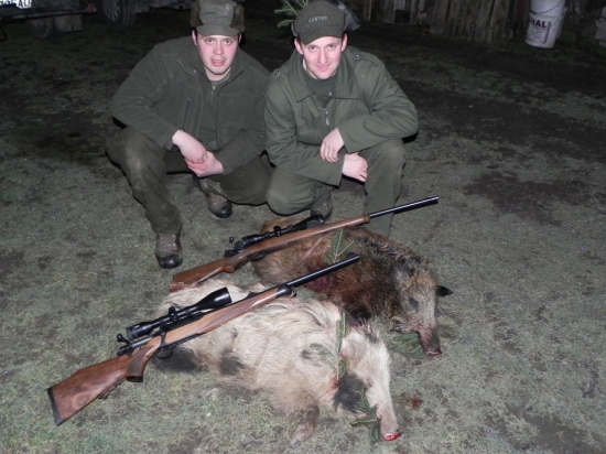 Môj prvý albín a kolegov prvý diviak v tomto roku