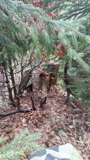 Keď sa šťastie unavý.....