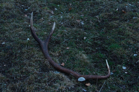 spiatočník 10torák