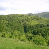 Mala Fatra- V pozadi Maly Krivan