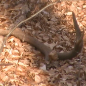 čerstvý a vonavý!!!