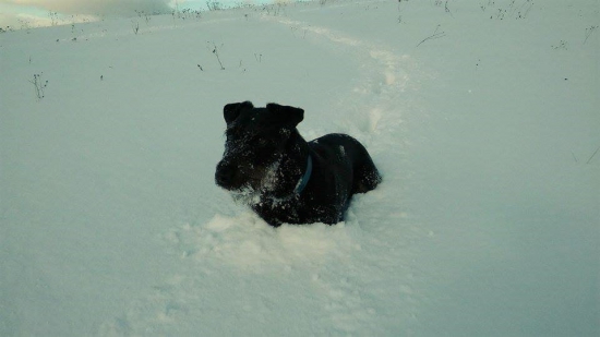 Trošku nasnežilo :)