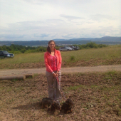 sielnica 2011