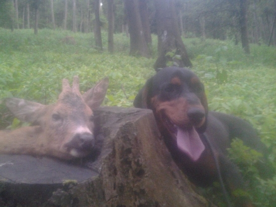 priprava na farbiarske skusky...