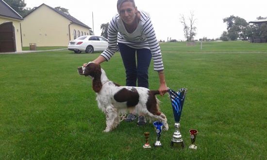 Klubova výstava Bac