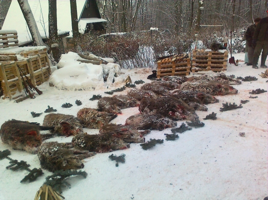 19.12. 2010