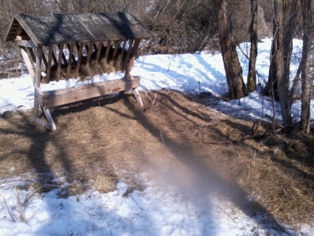 Odmena za prikrmovanie.