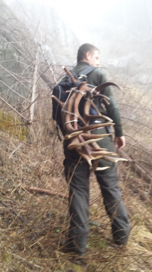 Nedelna prechadzka vo Swajciarskych Alpach