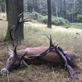 Zuhrackovsky jelen s dedom