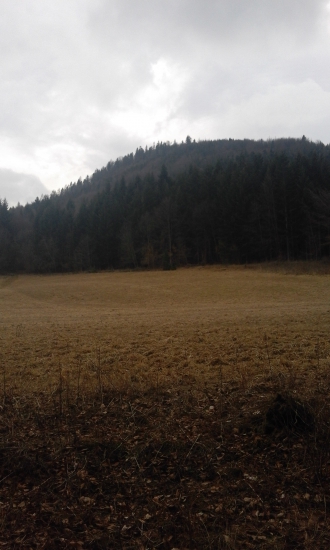 priroda