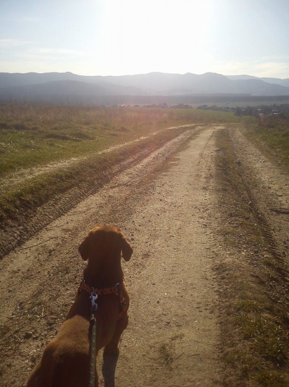 letná prechádzka..