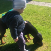 Huncut z Hrachovskeho vrsku