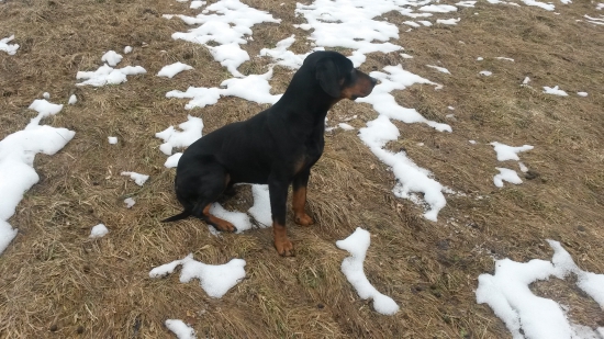 Huncut z Hrachovskeho vrsku