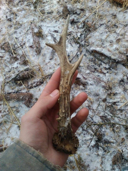 Já už svůj dárek našel, co vy?