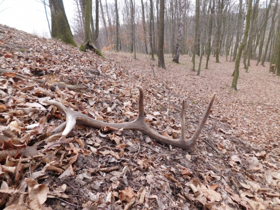 Tak sezona 2017 zahájena.
