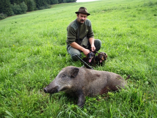 Uspešná dohladávka