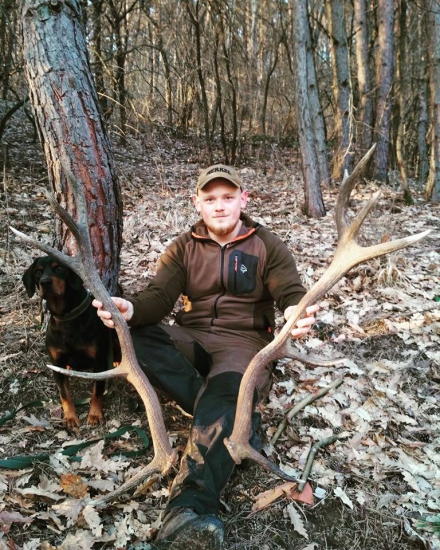 Starec z borovicového hája