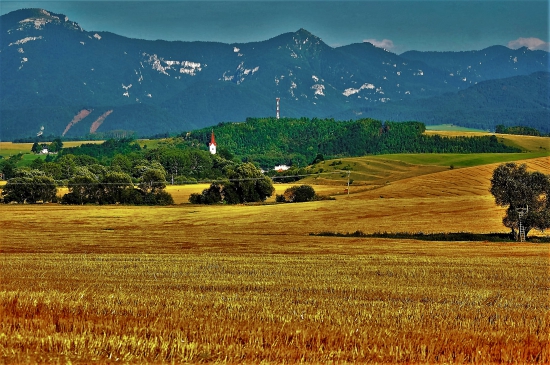 na poli