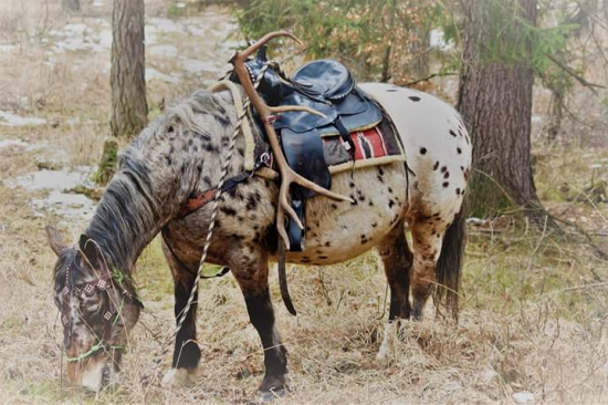 cestou domou z fotenia a zrazu...