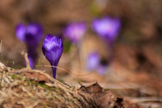 farby už začínajú