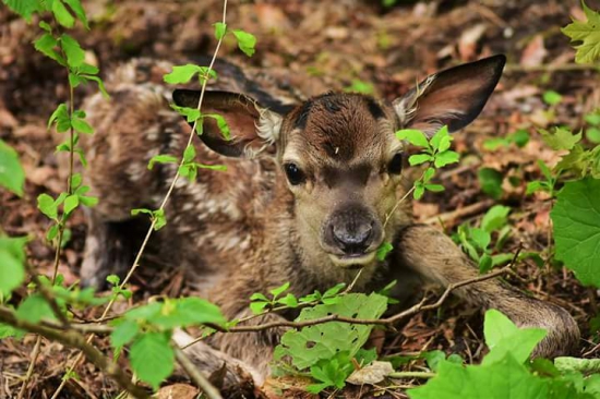 Vela šťastia v živote ;)