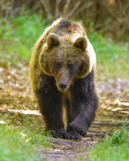 Milujem takéto príjemné stretnutia :)