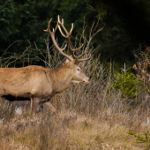 Kráčal si po hrebeni