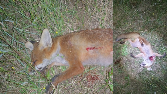 prebíjaný Nosler Partition 100 gr-243w